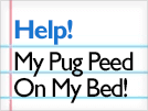 Help! My Pug Keeps Peeing On My Bed!