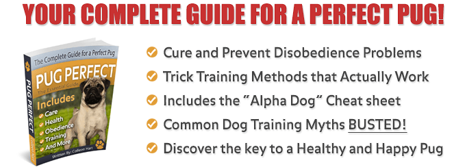 Pug Perfect: Pug Training Book