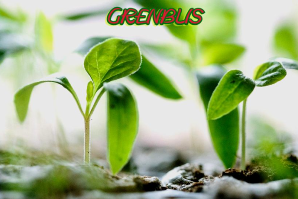 A vivid depiction of grenblis supplements and their various health benefits.