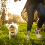 The Joy and Responsibility of Pet Ownership
