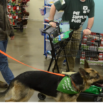 Pet Supplies Plus: A Convenient Destination for Pet Owners