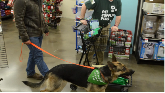 Pet Supplies Plus: A Convenient Destination for Pet Owners