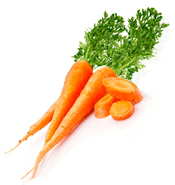 Carrots Treat for Pug