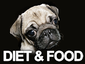 Pug Diet and Food